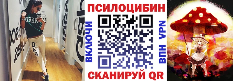 omg tor  Плавск  Псилоцибиновые грибы прущие грибы 