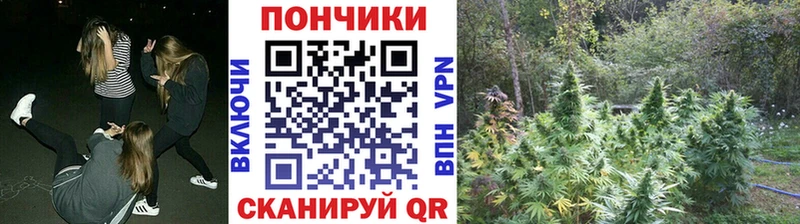 магазин  наркотиков  Плавск  МАРИХУАНА OG Kush 